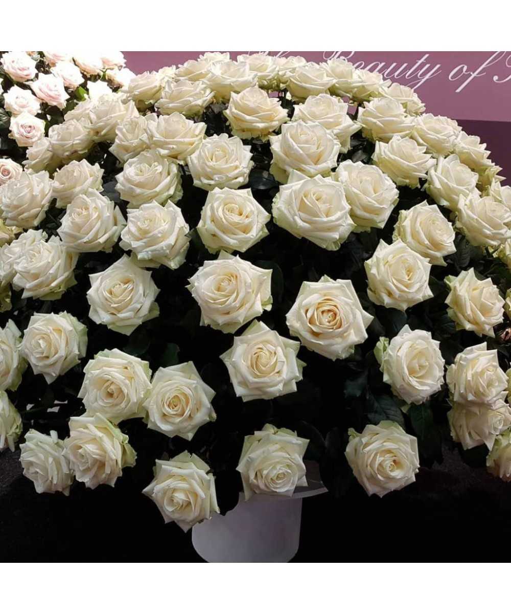 White Naomi - Witte rozen - 100 stuks
