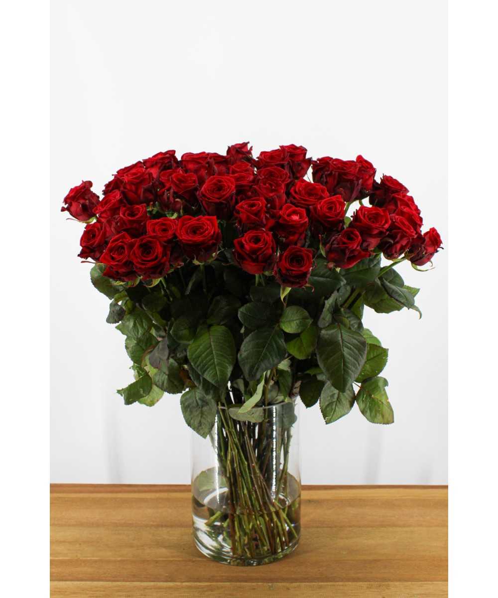 Red Naomi! - Rode rozen - 50 stuks REGULAR