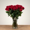 Red Naomi! - Rode rozen - 24 stuks REGULAR