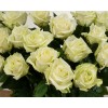 White Naomi - Witte rozen - 50 stuks