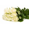 Avalanche+ - Witte rozen - 24 stuks
