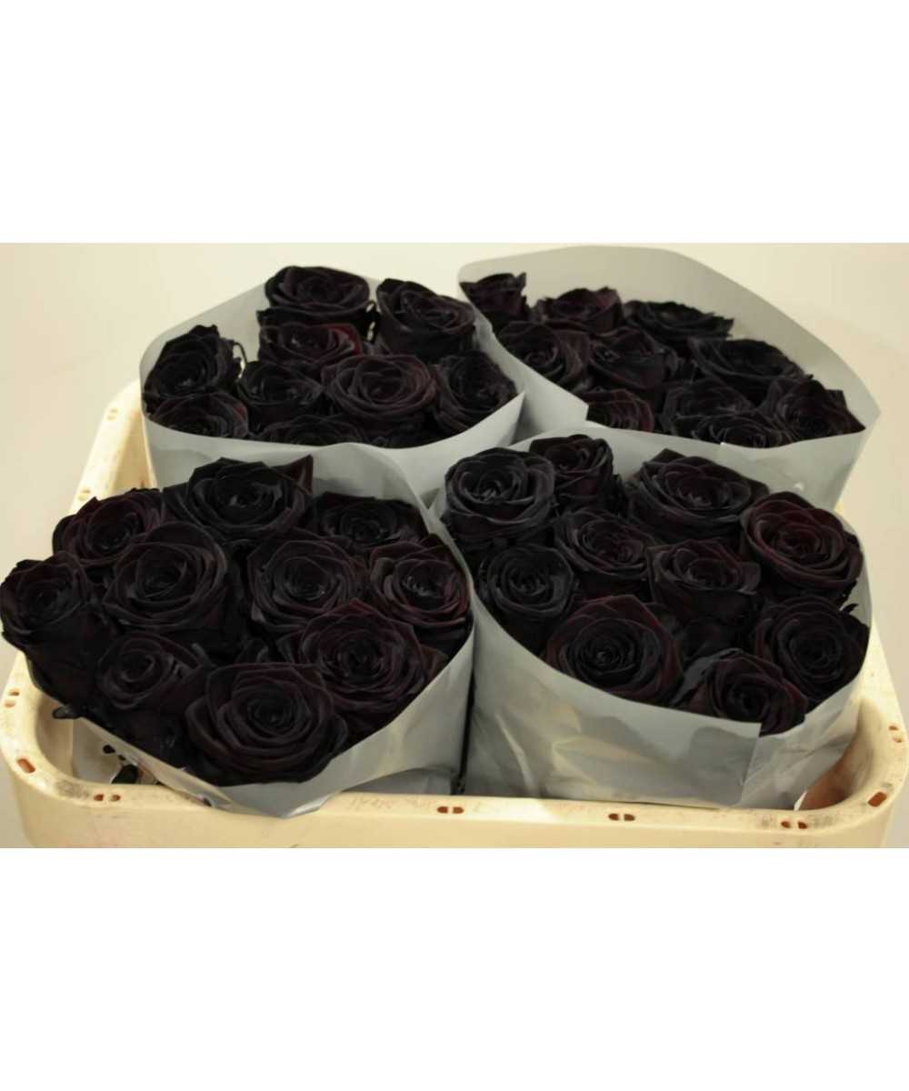 24 zwarte rozen