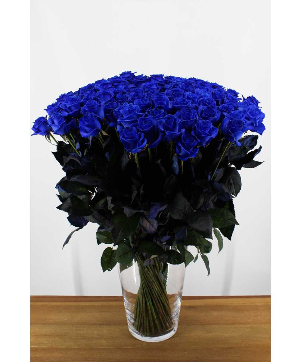 Vendela - Blauwe rozen - 50 stuks
