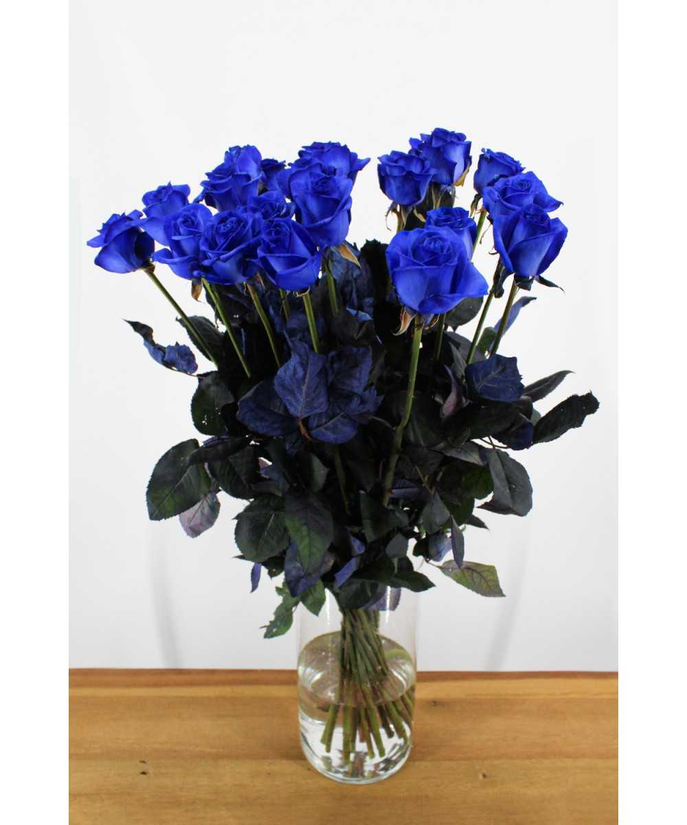 Vendela - Blauwe rozen - 24 stuks