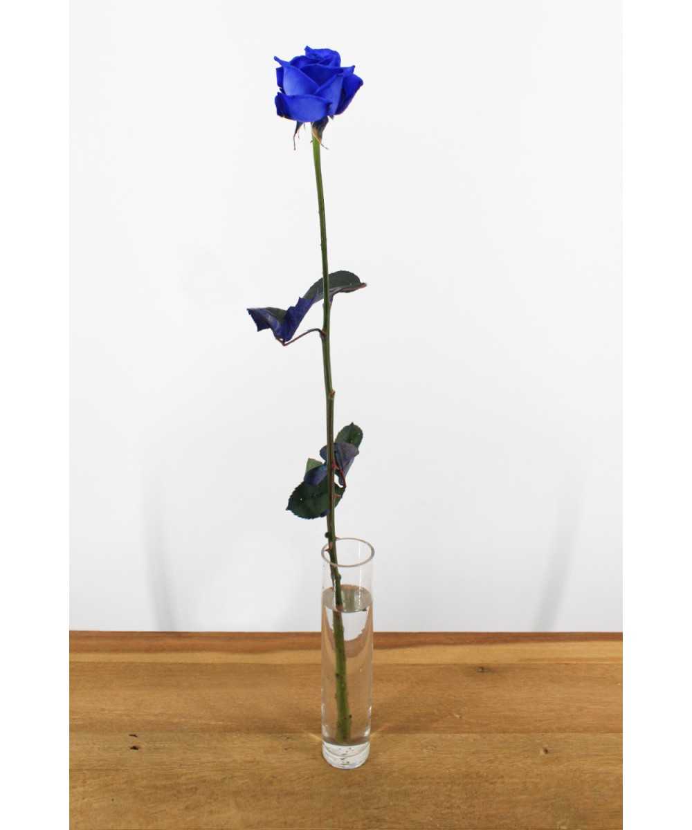 Vendela - Blauwe rozen - 1 stuk