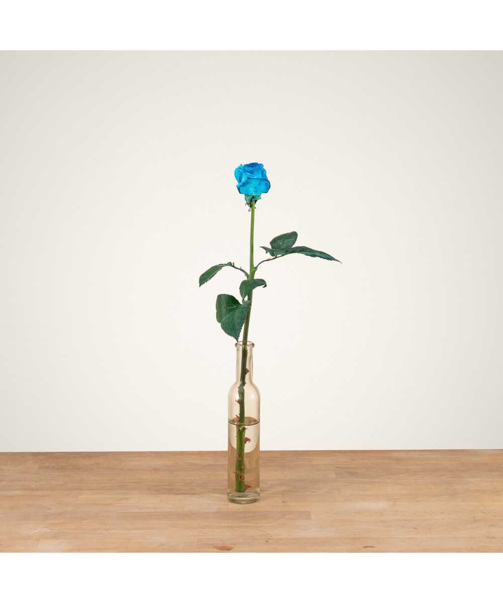 Vendela - Licht blauwe rozen -  1 stuk