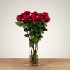 Red Naomi! - Rode rozen - 12 stuks REGULAR