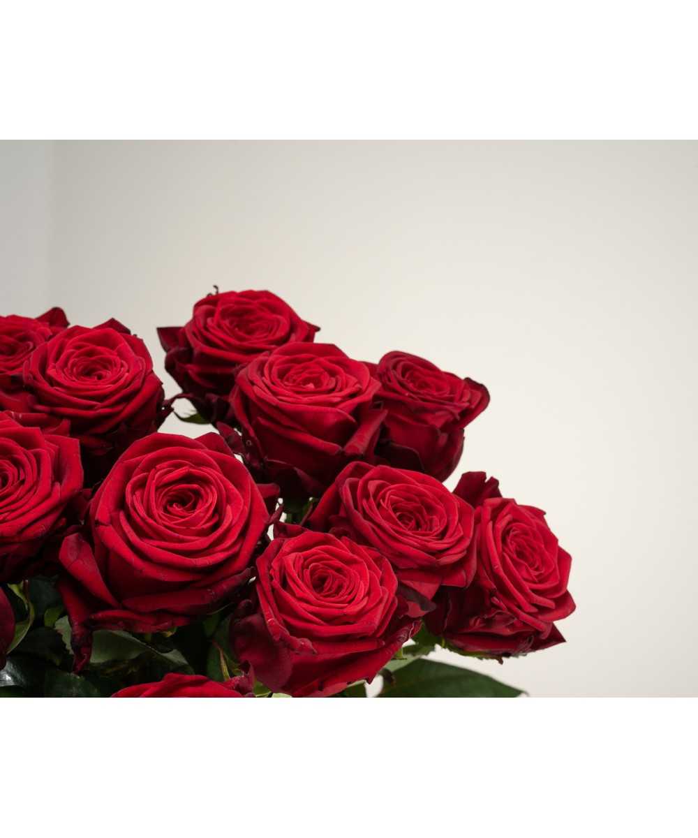 Red Naomi! - Rode rozen - 12 stuks REGULAR