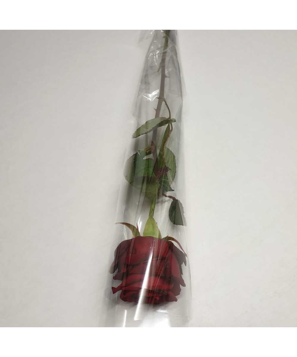 Rode roos per stuk verpakt in waterflesje in sleeve of cellofaan