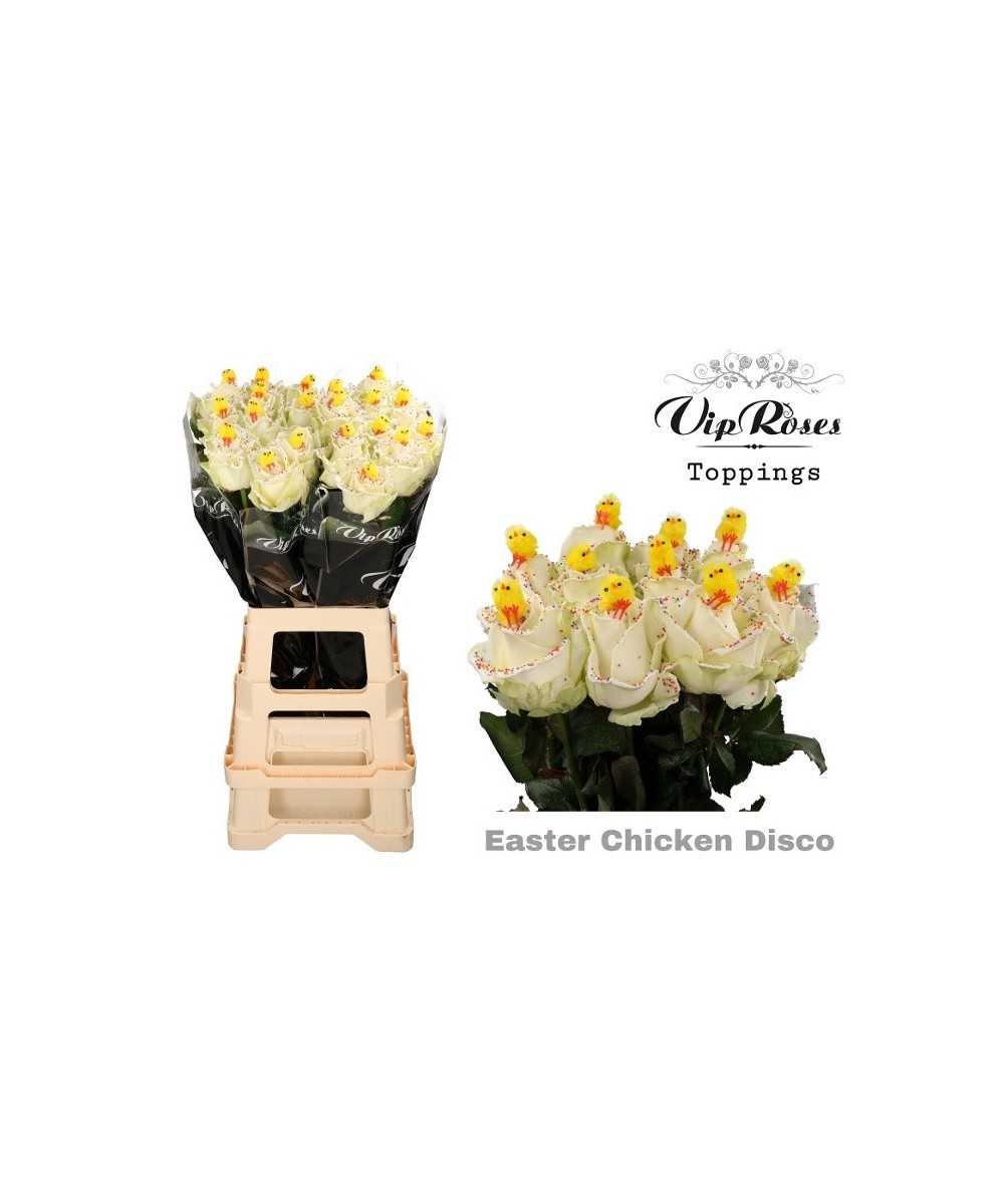 Roos wax Easter chicken disco