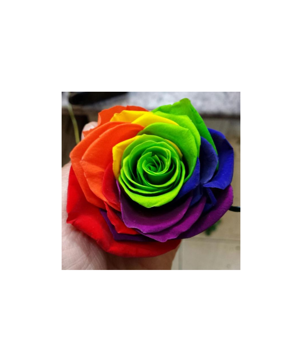 Vendela - Regenboog rozen - 12 stuks