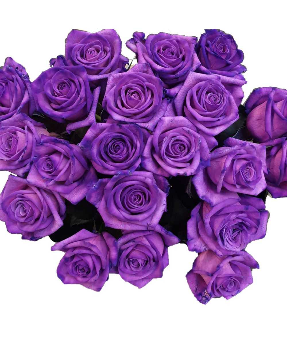 Vendela - Paarse rozen - 24 stuks