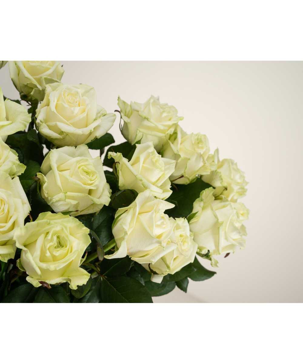 White Naomi - Witte rozen - 12 stuk