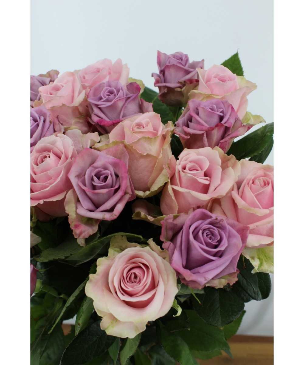 Kan worden berekend traagheid Confronteren Bos rozen - 20 stuks - Pastel Mix Roze/Lila/Paars