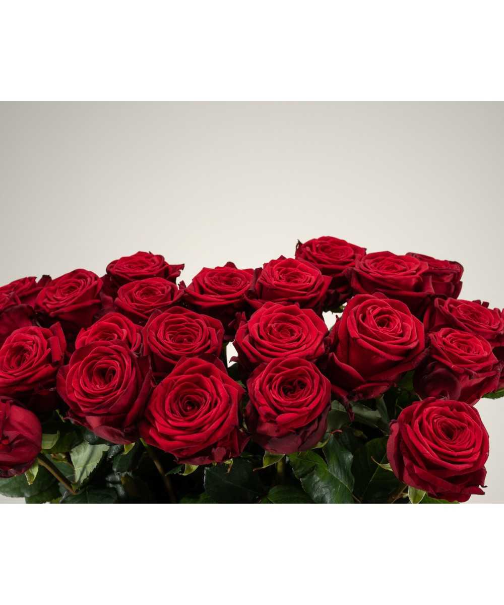 Veraangenamen amateur geweer 24 rode rozen kopen?