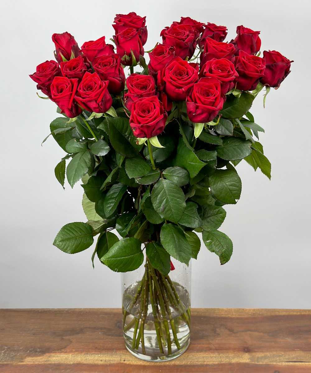 Red Naomi! - Red roses - 24 pieces REGULAR