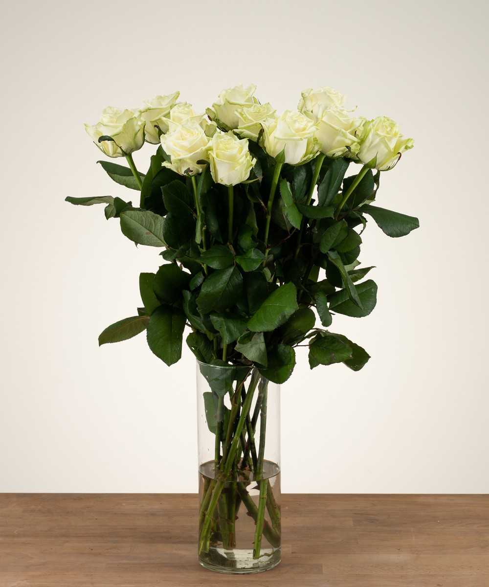 White Naomi - White roses -...