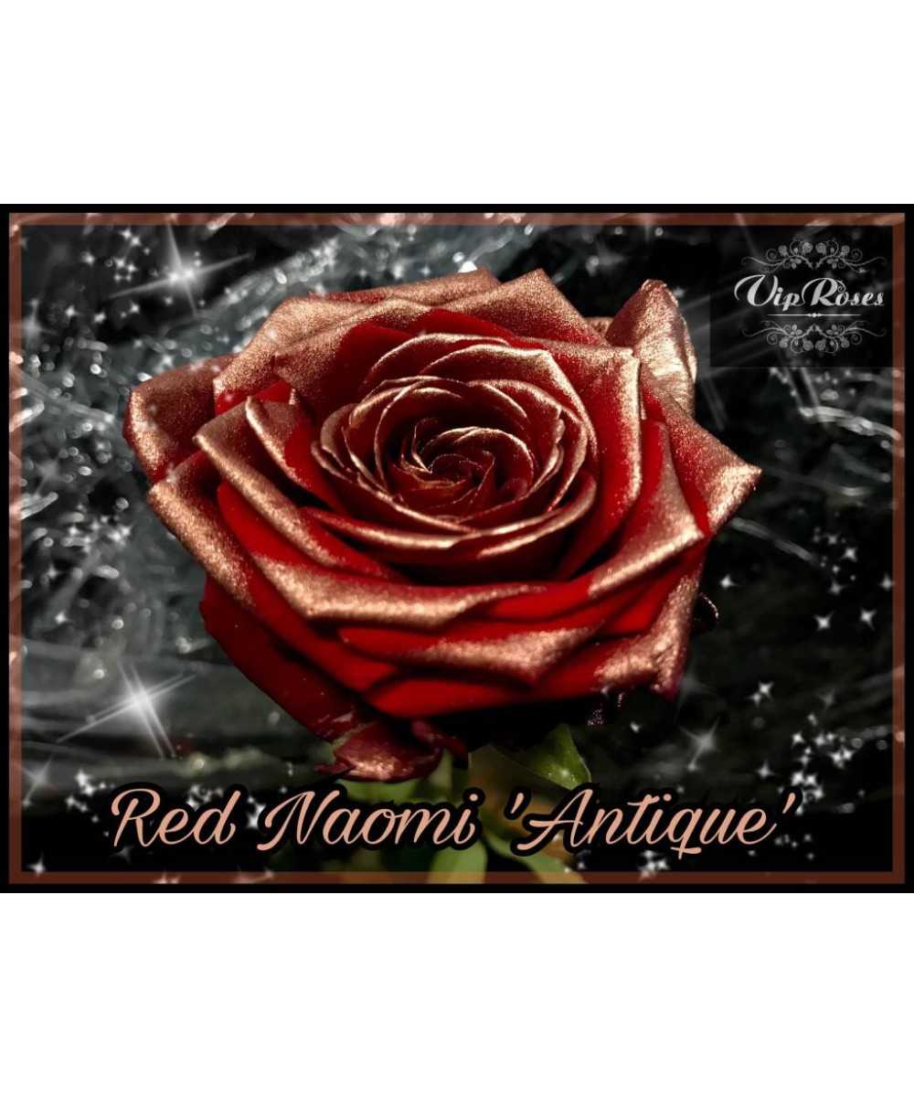 Red Naomi+ Antique