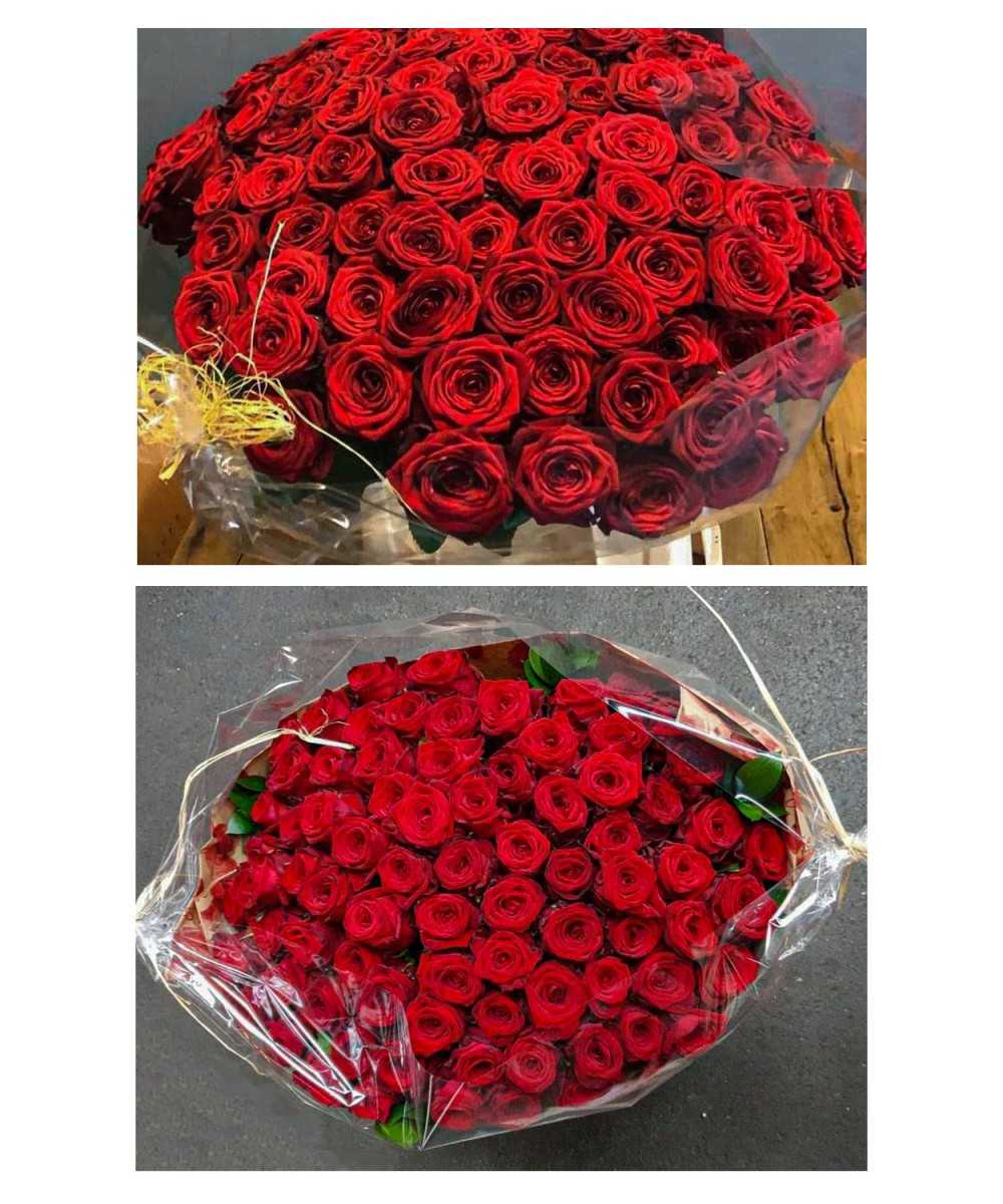 telegram Zielig Middag eten Red Naomi! Rode rozen 100 stuks kopen? | 10 daagse garantie