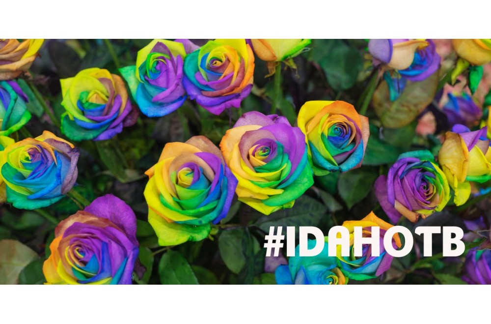 Laat Liefde Bloemen met Regenboogrozen op de Dag tegen Homofobie
