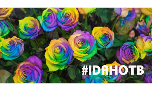 Laat Liefde Bloemen met Regenboogrozen op de Dag tegen Homofobie
