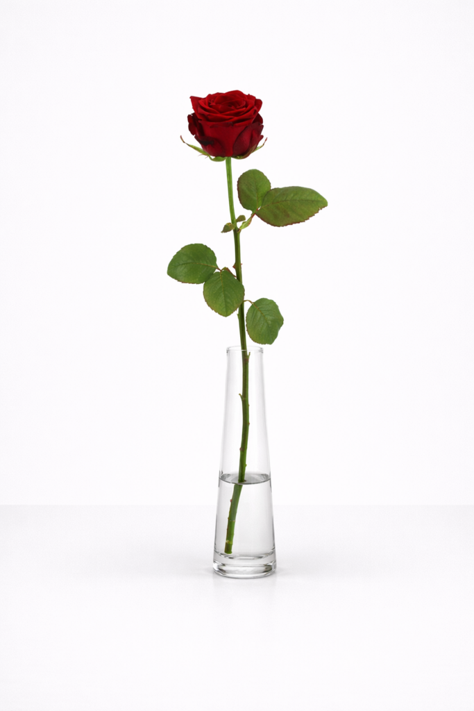 Red Naomi! - Red roses - PREMIUM