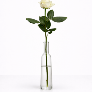 White Naomi - Witte rozen - 1 stuk