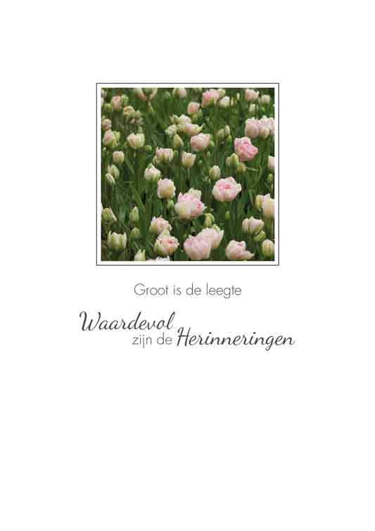 Kaartje Compassion (3 soorten)