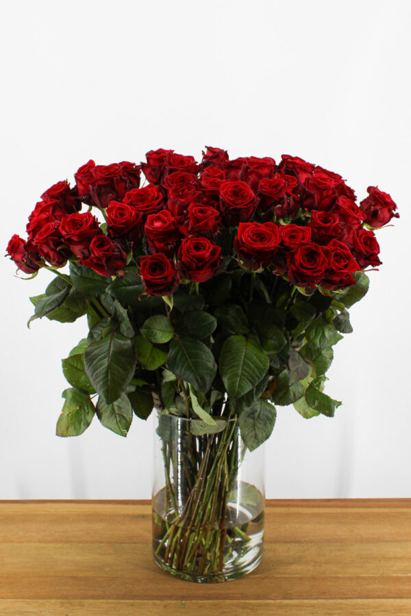 Red Naomi! - Rode rozen - 60 stuks REGULAR