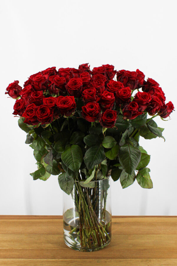 Red Naomi! - Rode rozen - 50 stuks REGULAR