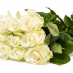Avalanche+ - Witte rozen - 100 stuks