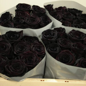 100 zwarte rozen