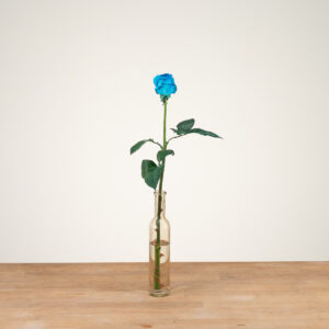 Vendela - Licht blauwe rozen - 1 stuk