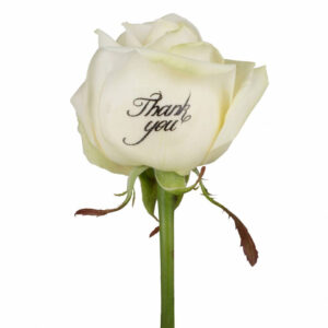 Bedrukte witte rozen