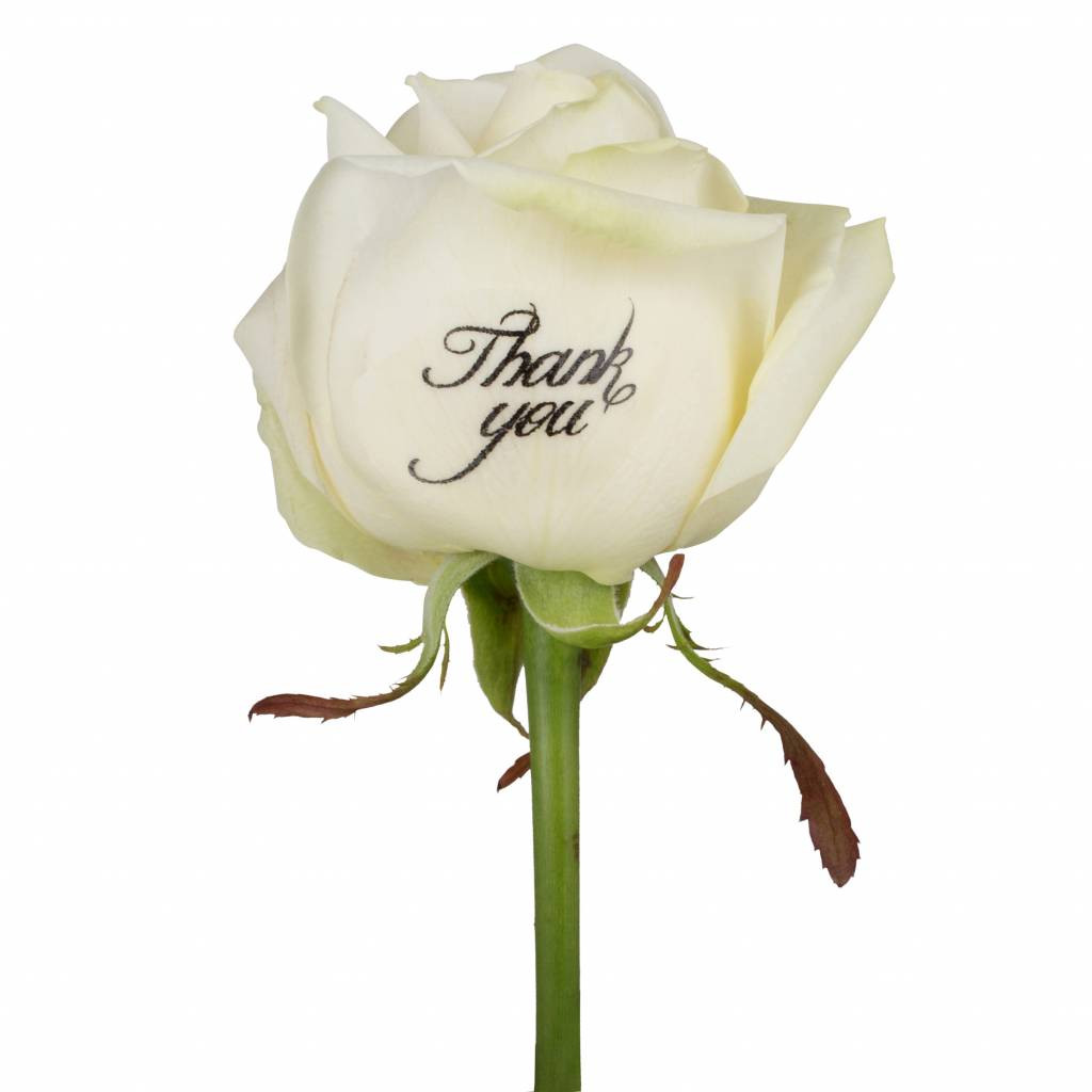 Bedrukte witte rozen