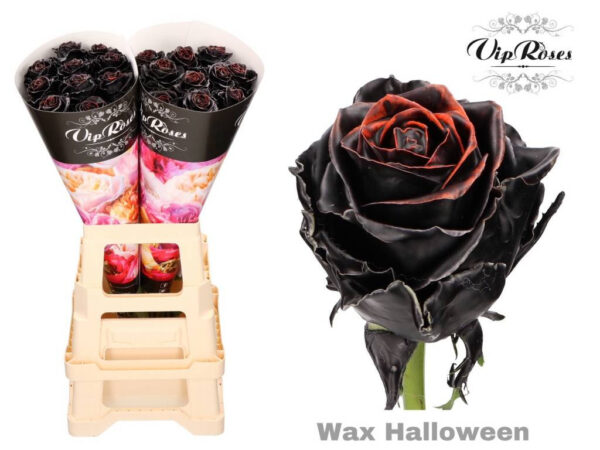Halloween Wax