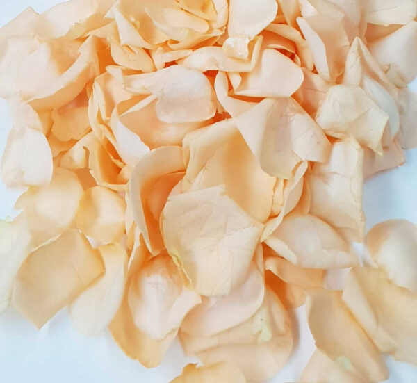Rozenblaadjes Peach