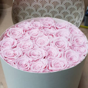 Rozen Box