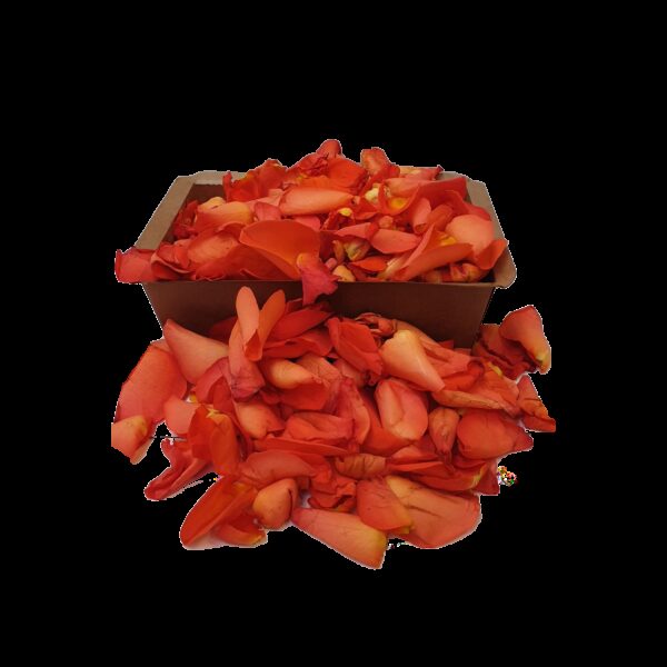 Rozenblaadjes Oranje