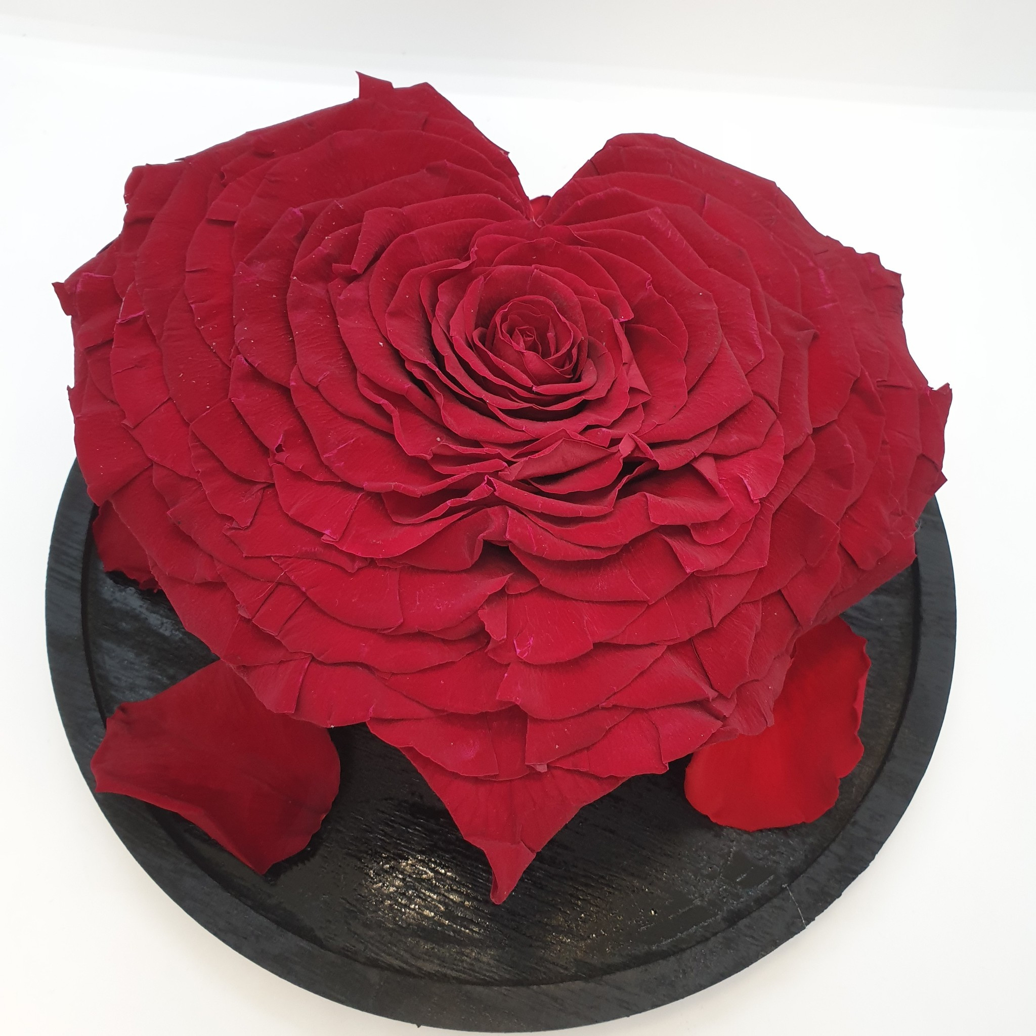 Roos Longlife Hart XXXL in stolp