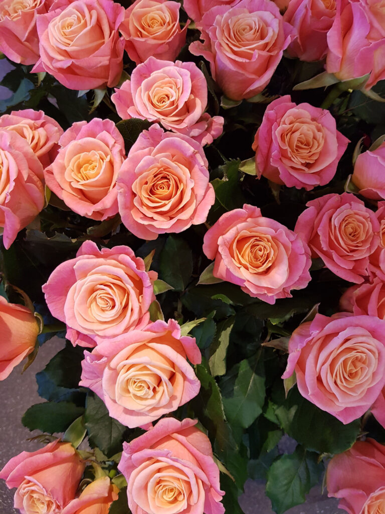 Rozen aanbieding van de week - Verrassing bos met 20 rozen