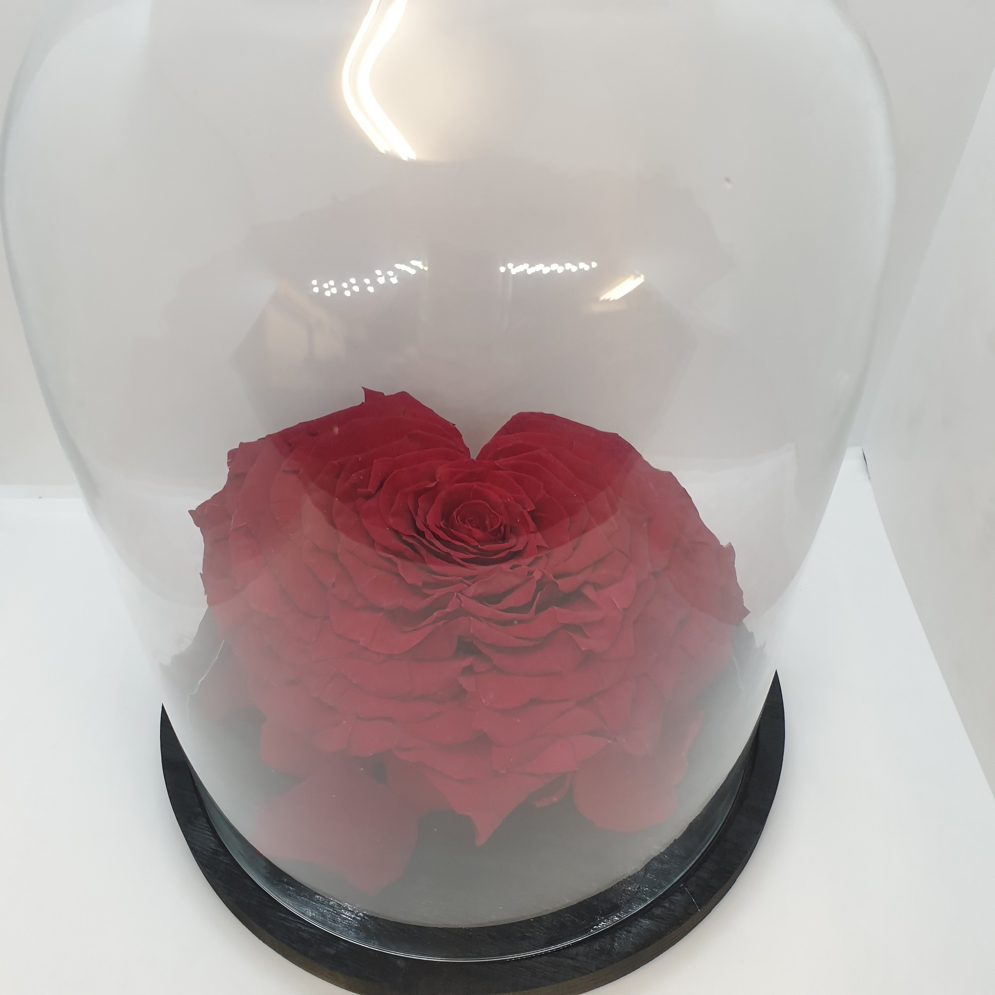 Roos Longlife Hart XXXL in stolp