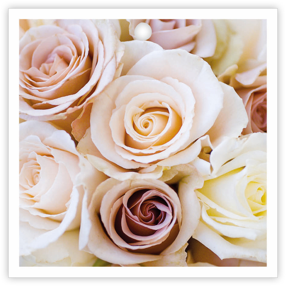 Kaartje Basics "blanco"