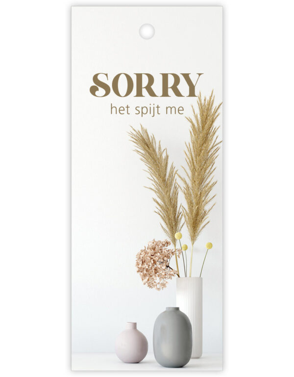 Kaartje - Sorry