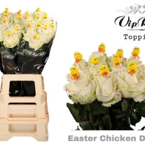 Roos wax Easter chicken disco