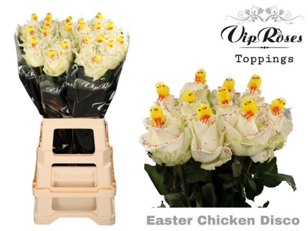 Roos wax Easter chicken disco