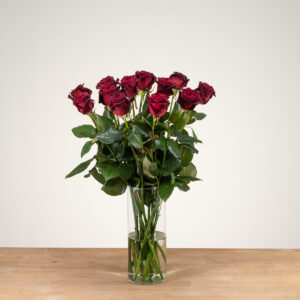Black Baccara - Rode Rozen - 12 stuks