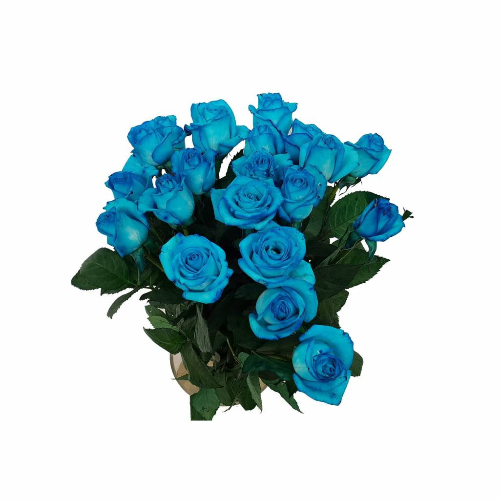 Vendela - Licht blauwe rozen - 60 stuks