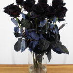 Red Naomi - Zwarte rozen - 12 stuks