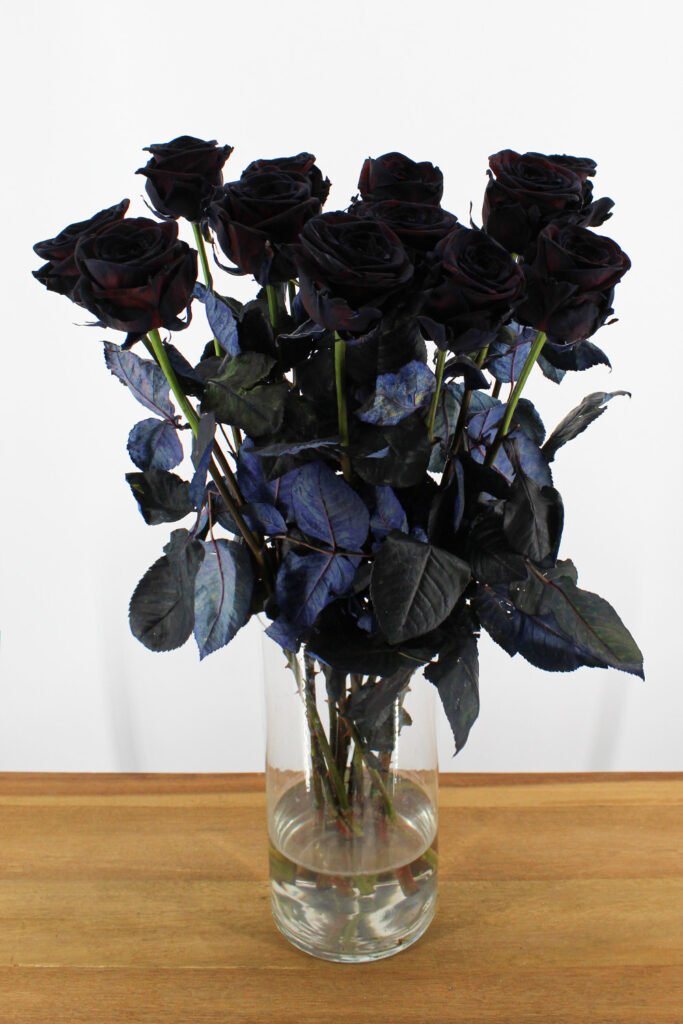 Red Naomi - Zwarte rozen - 12 stuks